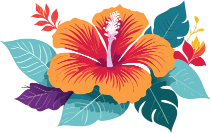 Hibiskus